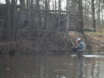 Maar wel in het net.