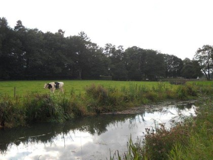 De wetering