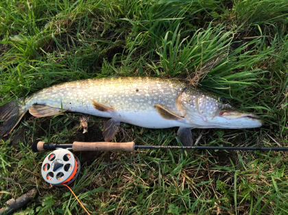 Dit was ton's grootste snoek