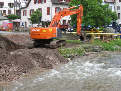 DE BOOSDOENER.
