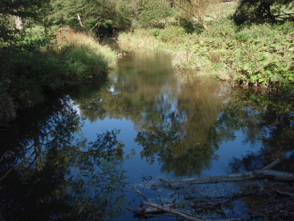 Mooie pool aan de Aar.