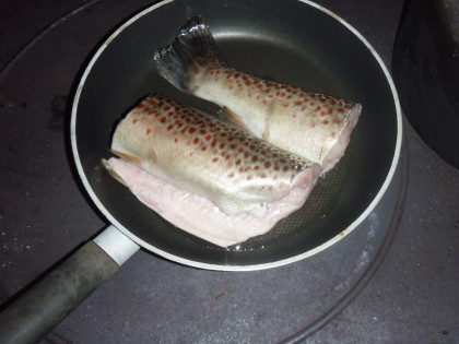 Deze was voor de zondag morgen.