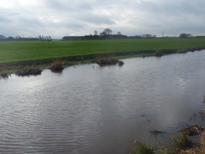 Een beetje beweging is het water kan geen kwaad.