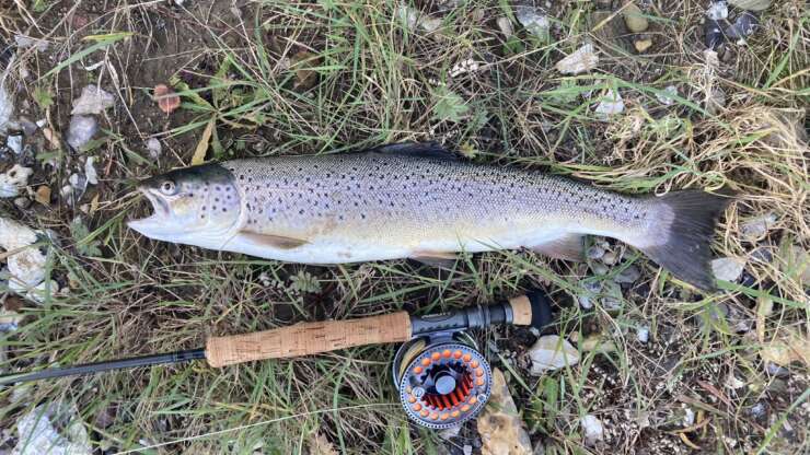 Week later dan herfst 2022 naar Funen.