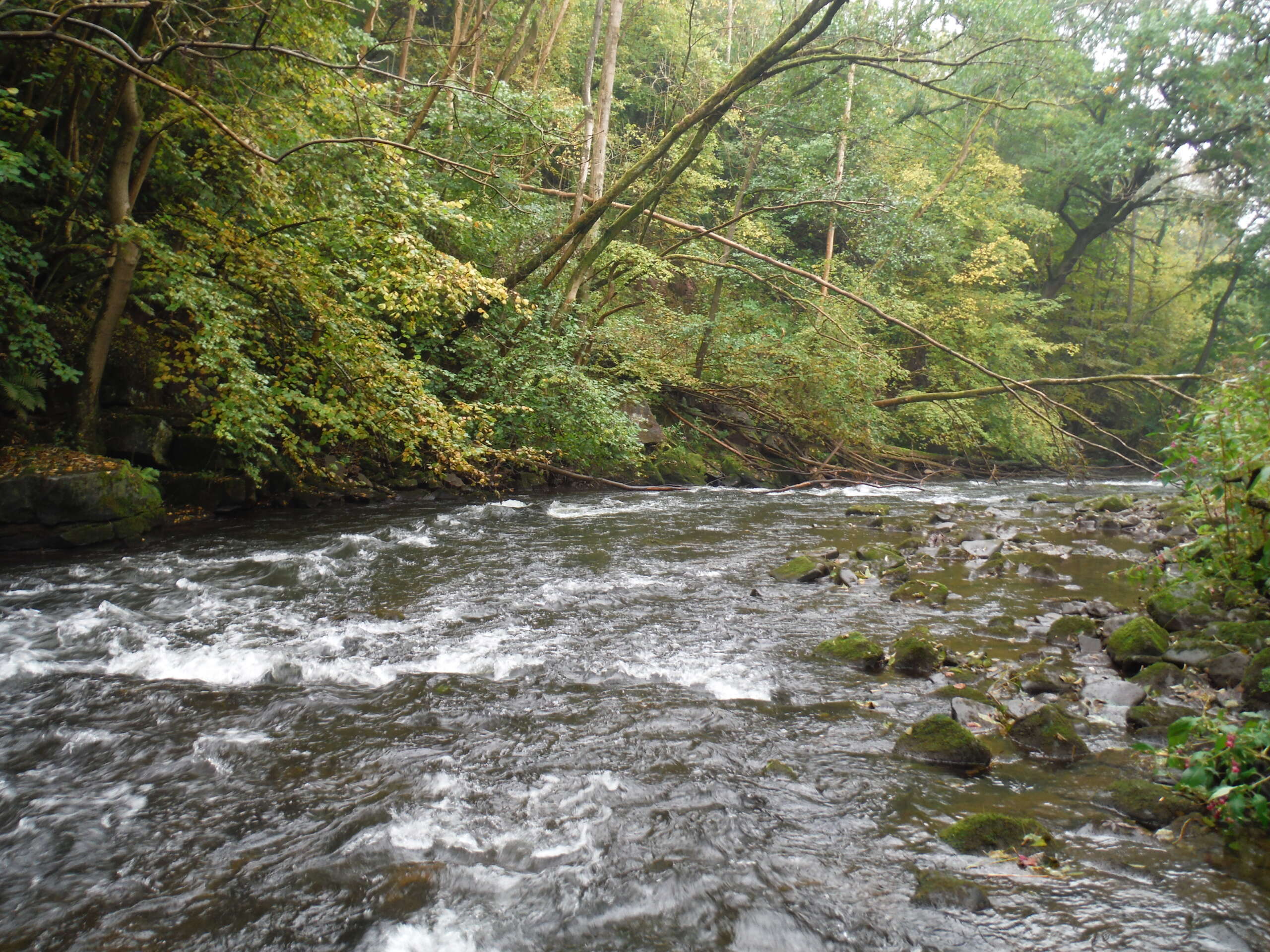 KYLLBURG – 2,3,4 oktober.
