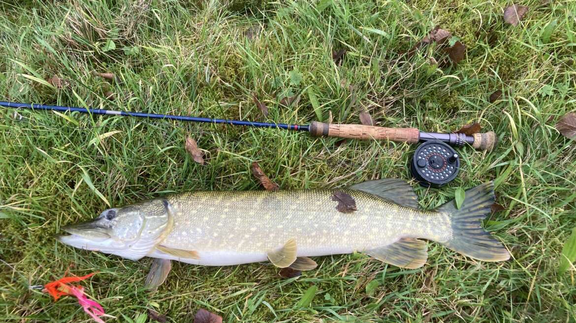 Snertsnoeken in 2 sessies.