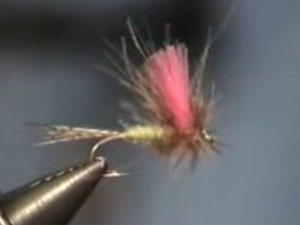 Vlieg man de maand mei: MP Parachute Mayfly (cdc)